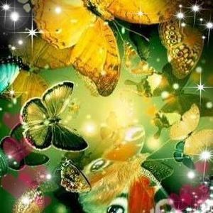 Meet your Posher, Pat